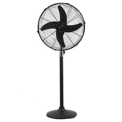 Royal Magnum Black Pedestal Fan 1