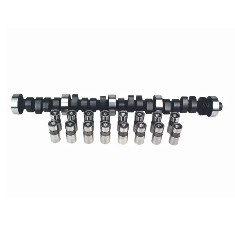 Lunati Camshaft And Lifter Kit For High-Performance Builds 1
